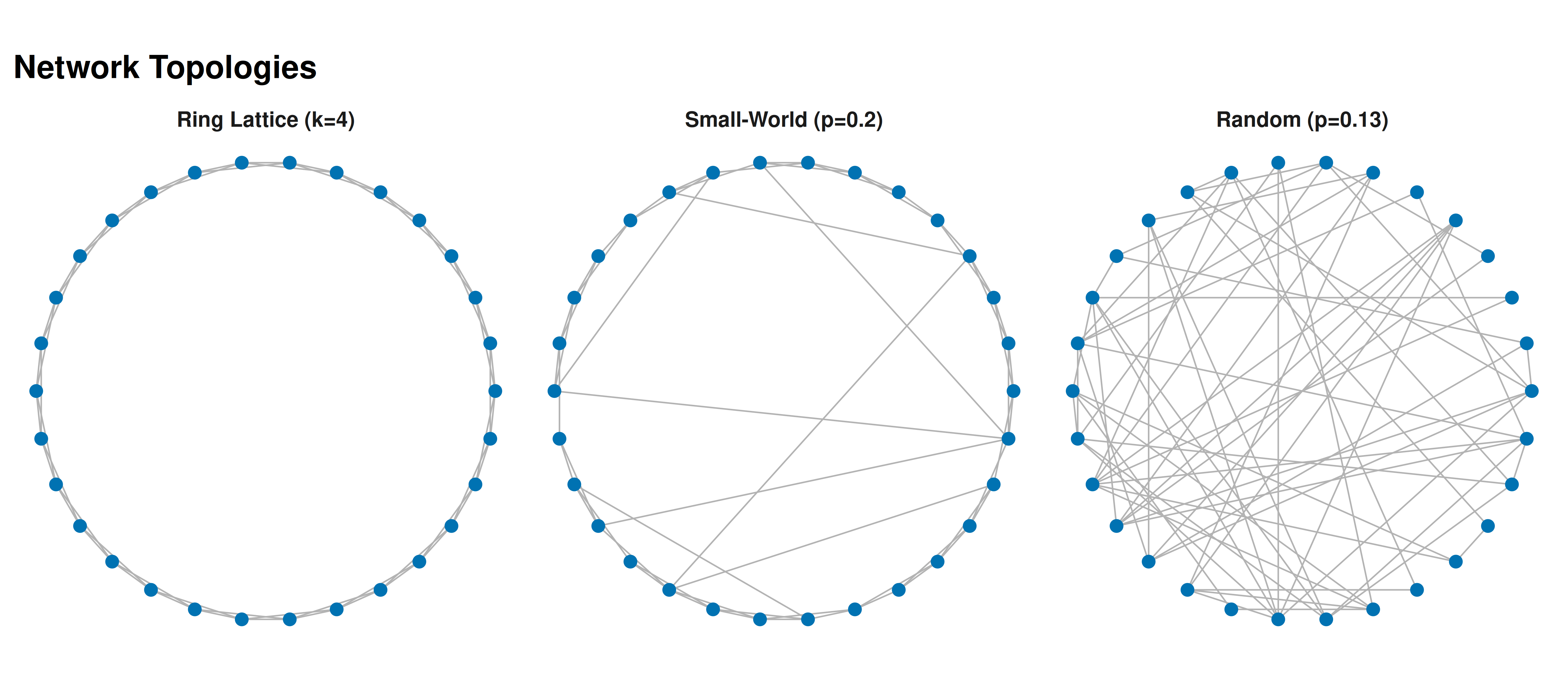 Three network topologies with 30 nodes. Left: ring lattice (k = 4) with high clustering but long paths. Centre: Watts-Strogatz small-world (k = 4, p = 0.2) with high clustering and short paths. Right: Erdős-Rényi random network (p = 0.13) with low clustering and short paths.